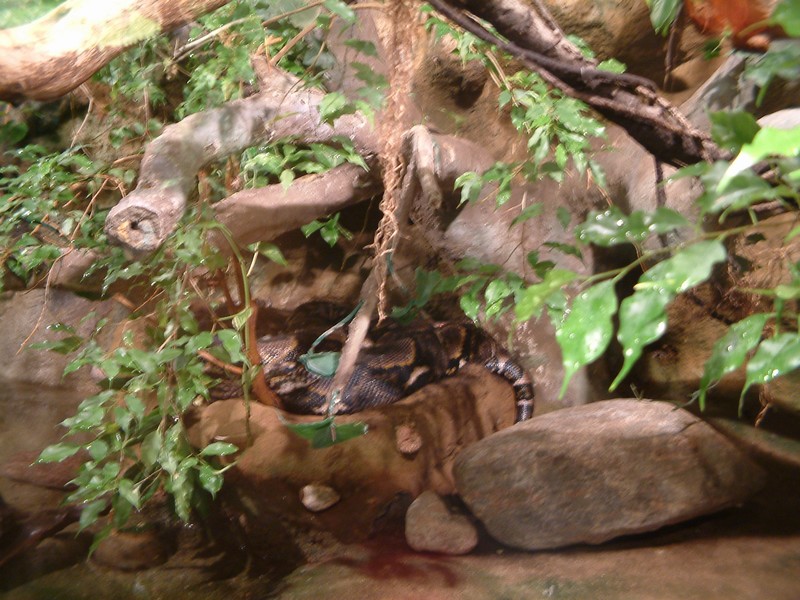 DSCF0046.JPG