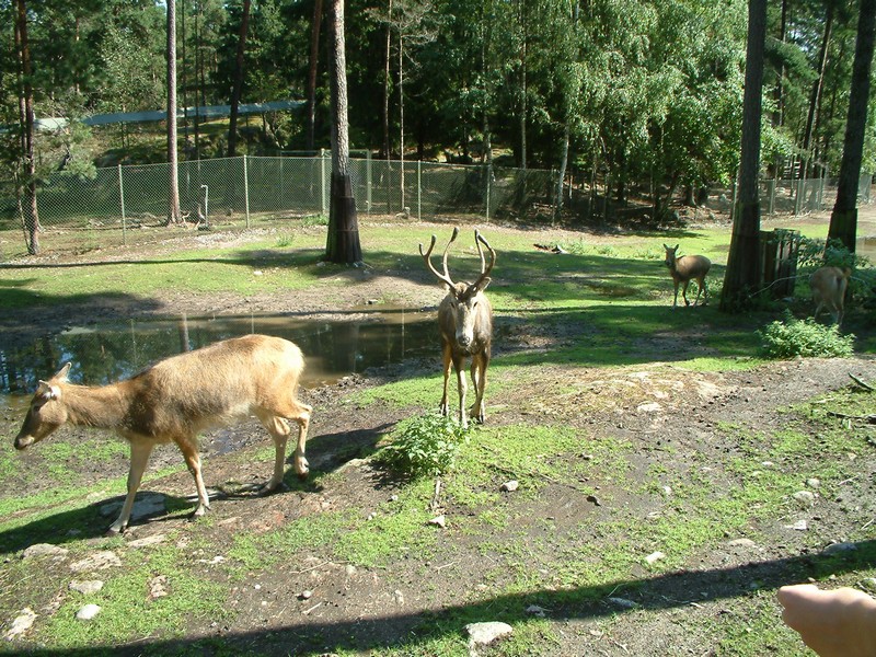 DSCF0086.JPG